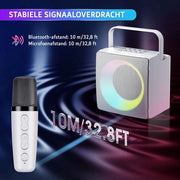 Impianto Karaoke - 2 Microfoni UHF Senza Fili - Effetti di Modulazione - Illuminazione a LED - Batteria da 4000mAh
