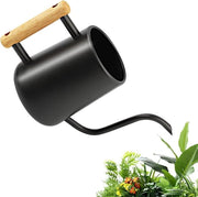 Giocatore di acqua da 1 litro con lungo getto e maniglia in legno - Per piante da appartamento e piante in vaso