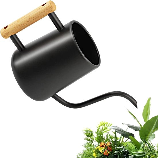 Giocatore di acqua da 1 litro con lungo getto e maniglia in legno - Per piante da appartamento e piante in vaso