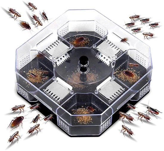 Strumento per la lotta contro le blatte - Herbruikbaar - Insetti catturanti - Materiale ecocompatibile in plastica - 137x137 mm - Sostanzialmente non tossico - Controllo degli insetti