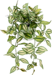 Pianta Decorativa Sospesa - Decorazione della Stanza - Disegno Naturale delle Foglie - 42 x 26 x 22 cm - Verde