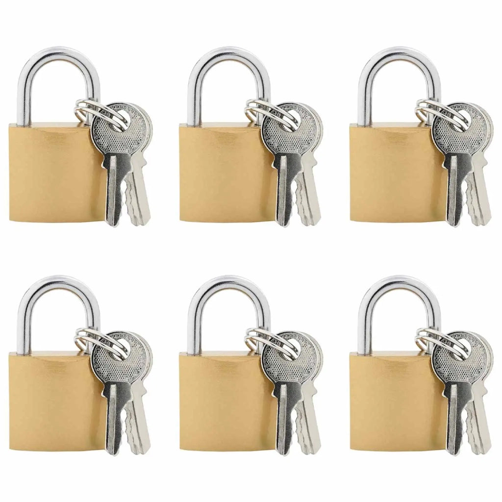 U Lock con Chiavi 6 pz Ottone Ferro CFW1005369