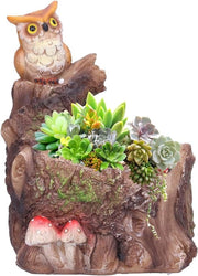 Vaso Innovativo Impermeabile per Succulente - Decorazione per la Casa - Piccolo Vaso per Cactus.