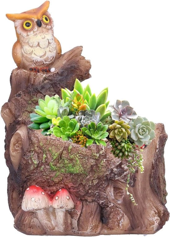 Vaso Innovativo Impermeabile per Succulente - Decorazione per la Casa - Piccolo Vaso per Cactus.