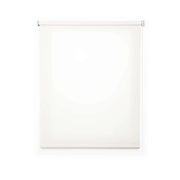 Tenda a Rullo Filtrante per finestre e porte Bianco 80x250 cm