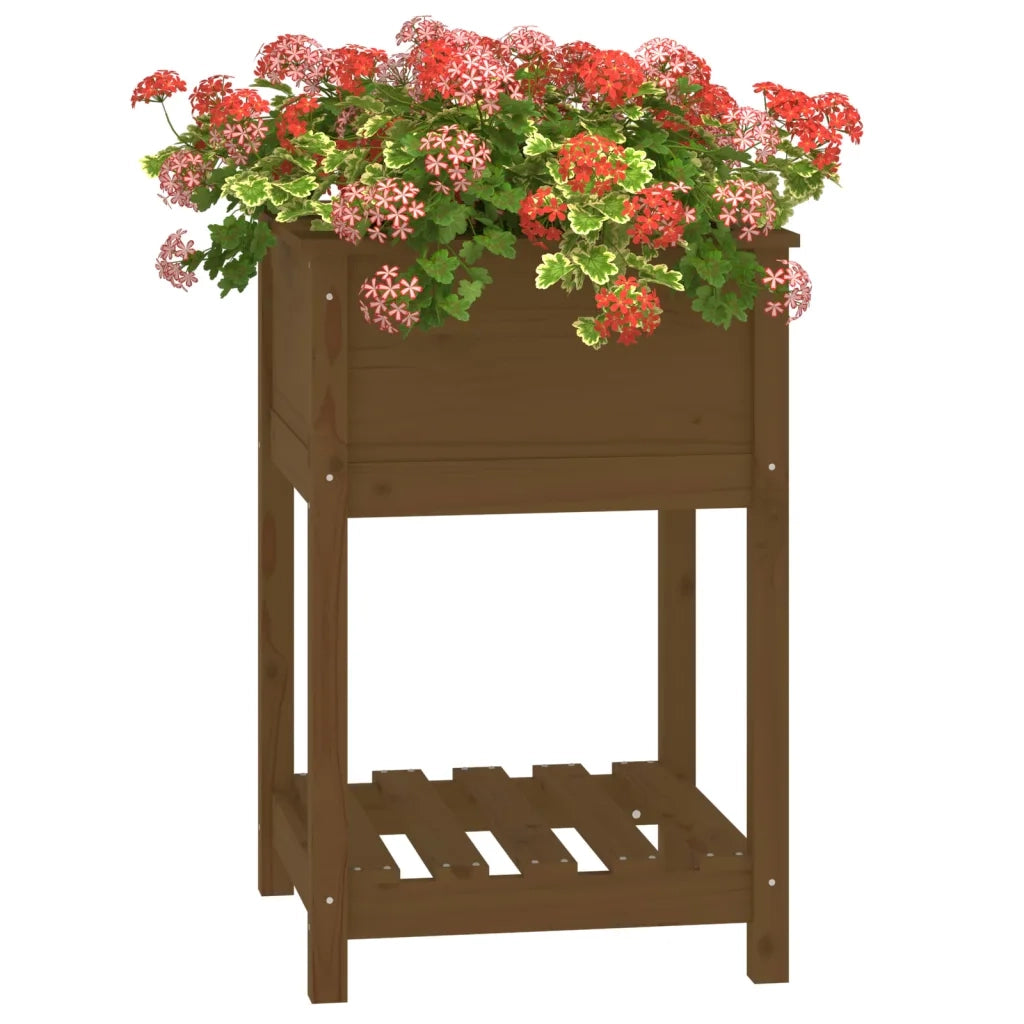 Fioriera con Mensola Ambra 54x54x81cm in Legno Massello di Pino 823776