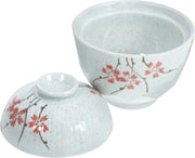 Set di cottura ceramica - 4-cuore pentola di miso con coperchio e piatto per microonde rotativo