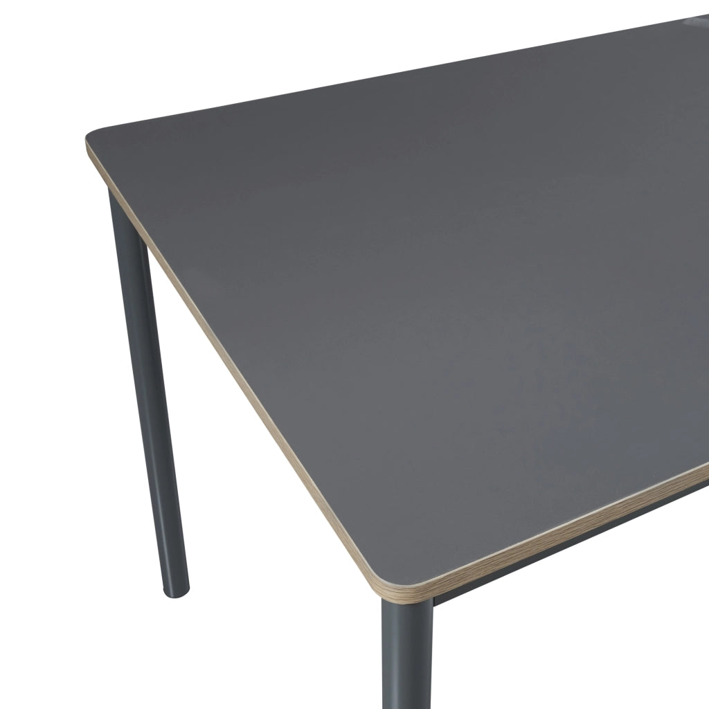 Tavolo da Sala Pranzo Lindesberg 120 x 70 cm Grigio [en.casa]