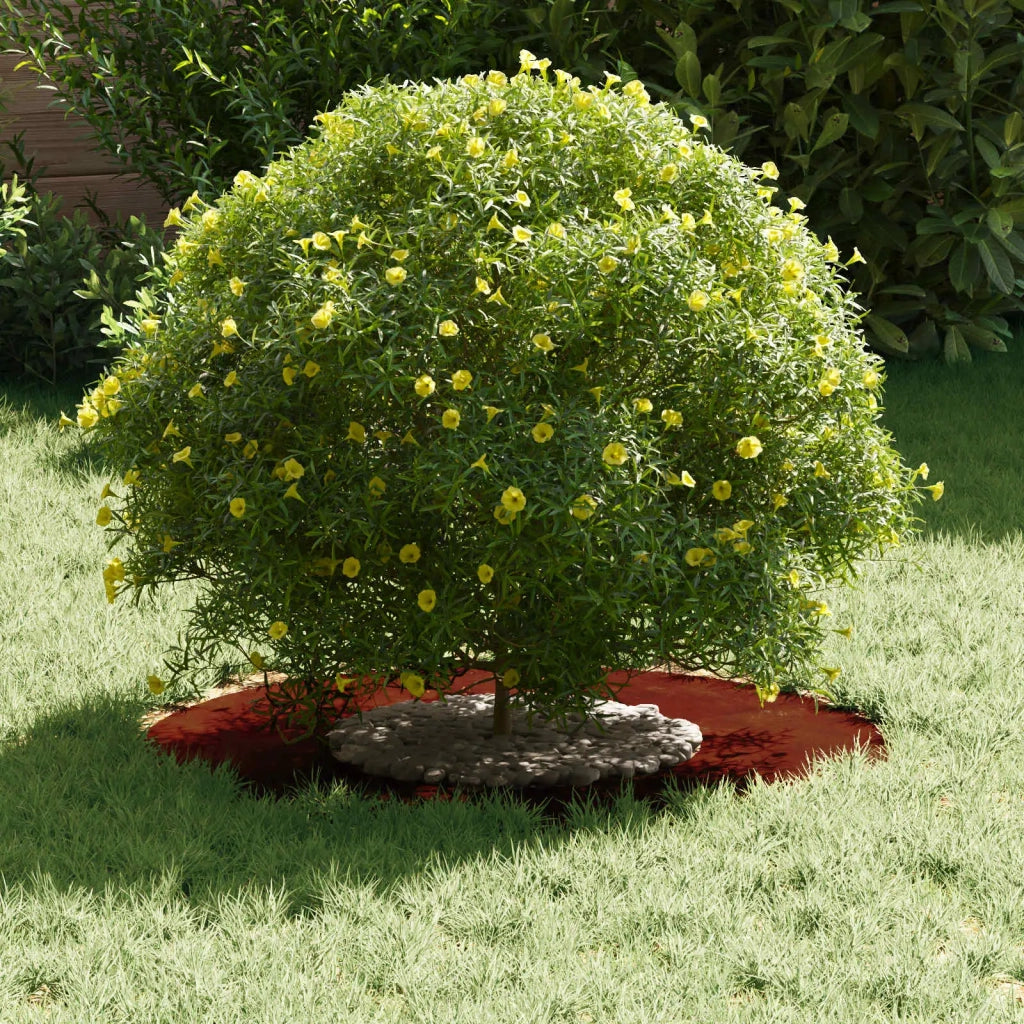 adatto per Anello d'Albero Piatto Marrone ?30 / 60 cm CFW5852683