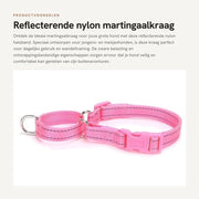 Collare per Cani con Reflettori - Resistente allo Sfilamento - Adatto per Grandi Razze - Dimensione S (Cervello 30-45 cm) - Larghezza 1,5 cm