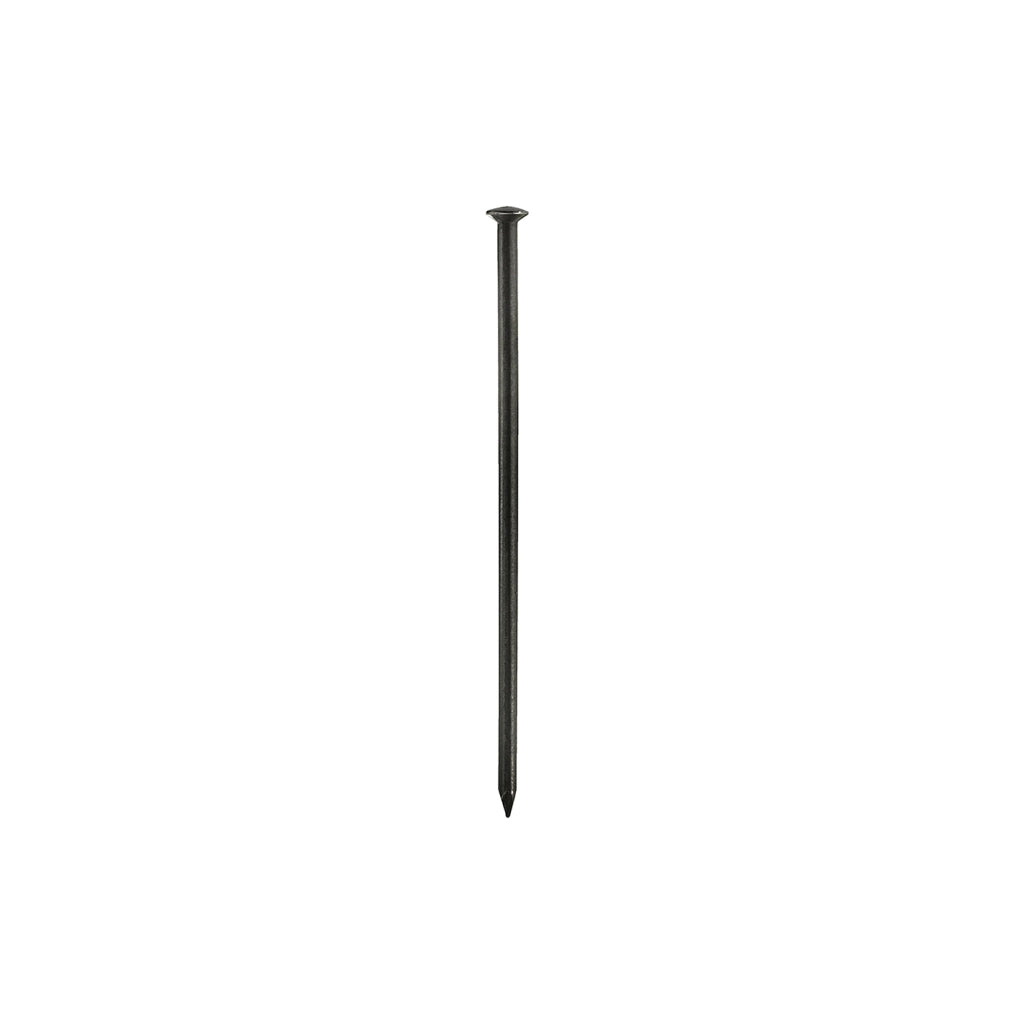 Chiodi testa bombata 2,0 x 20 - 70 pz.
