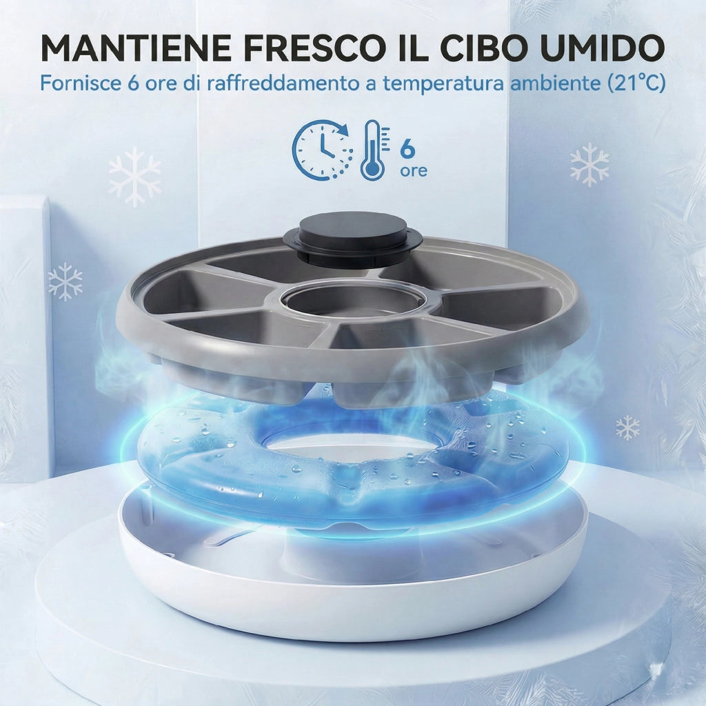 Distributore Automatico Cibo Gatti e Cani con Timer e Display LED. 1-6 Pasti al Giorno. per Cibo Secco e Umido