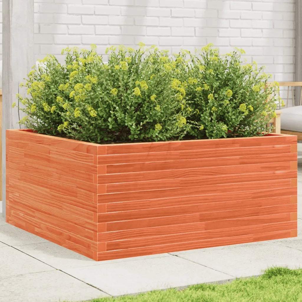 Fioriera | Cassetta per fiori | Vaso Giardino 100x100x46 cm Legno Massello Pino