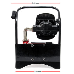 Pompa diesel autoadescante 230V/600W 40l/min con pistola Pompa gasolio biodiesel