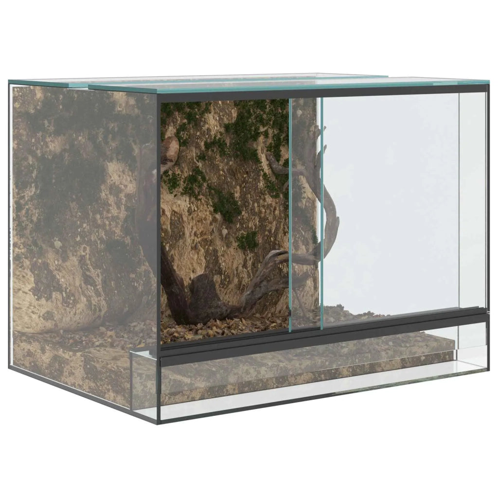 Terrario con archiviazione Trasparente 40 x 30 x 30 cm Vetro 42020389
