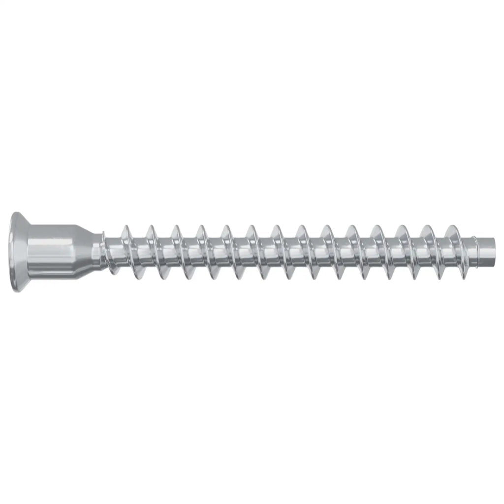 Viti confermat 2100 pz Argento Metallo CFW2410440