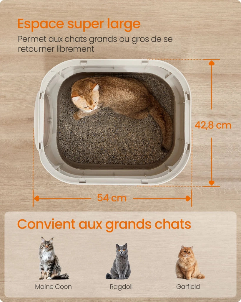 Lettiera XXL per gatti con coperchio vassoio rimovibile paletta spazzola spazio per gatti di grandi dimensioni meno disordine fondo a prova di perdite grigio 12_0004052