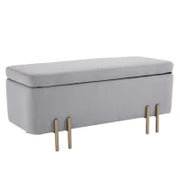Panca Contenitore Imbottita per Soggiorno e Camera da Letto, 100 x 40 x 42 cm, Grigio