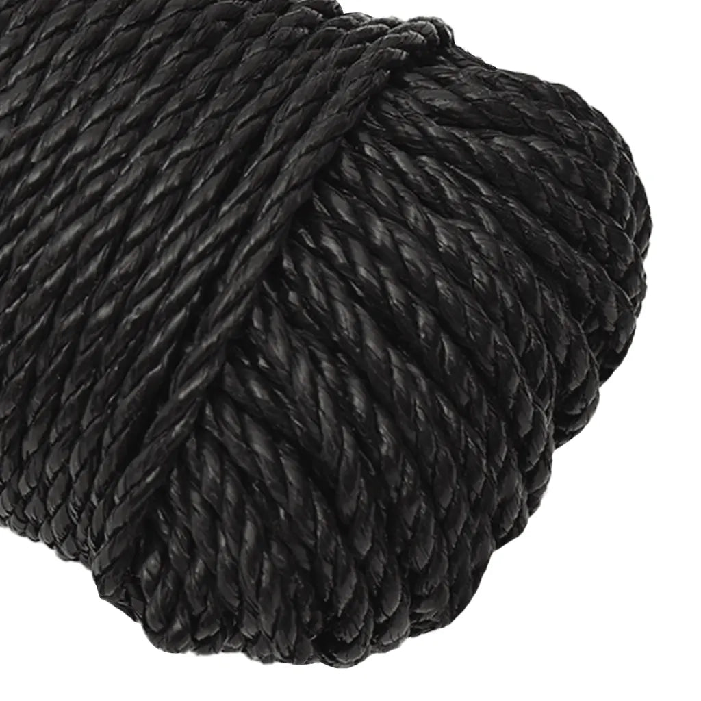 Corda da Lavoro Nera 3 mm 50 m in Polipropilene 152997