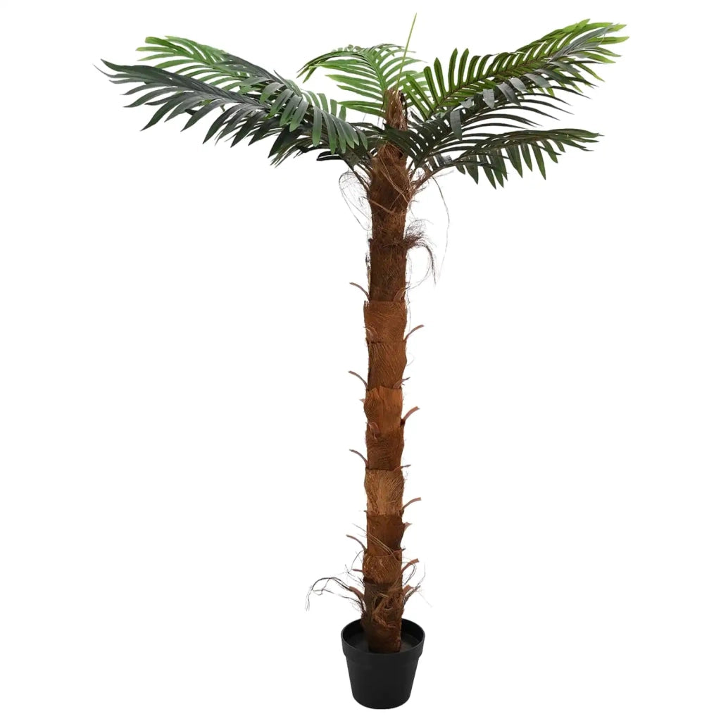 Albero di Cocuspalm Artificiale Verde 70 x 18 x 140 cm CFW7603075