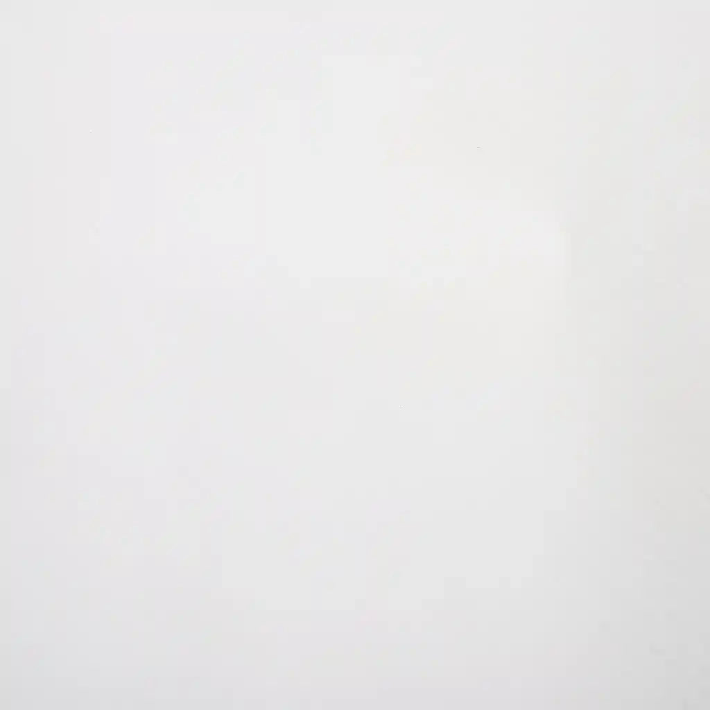 Pellicole per Auto 2 pz 4D Bianco 100x150 cm 210725