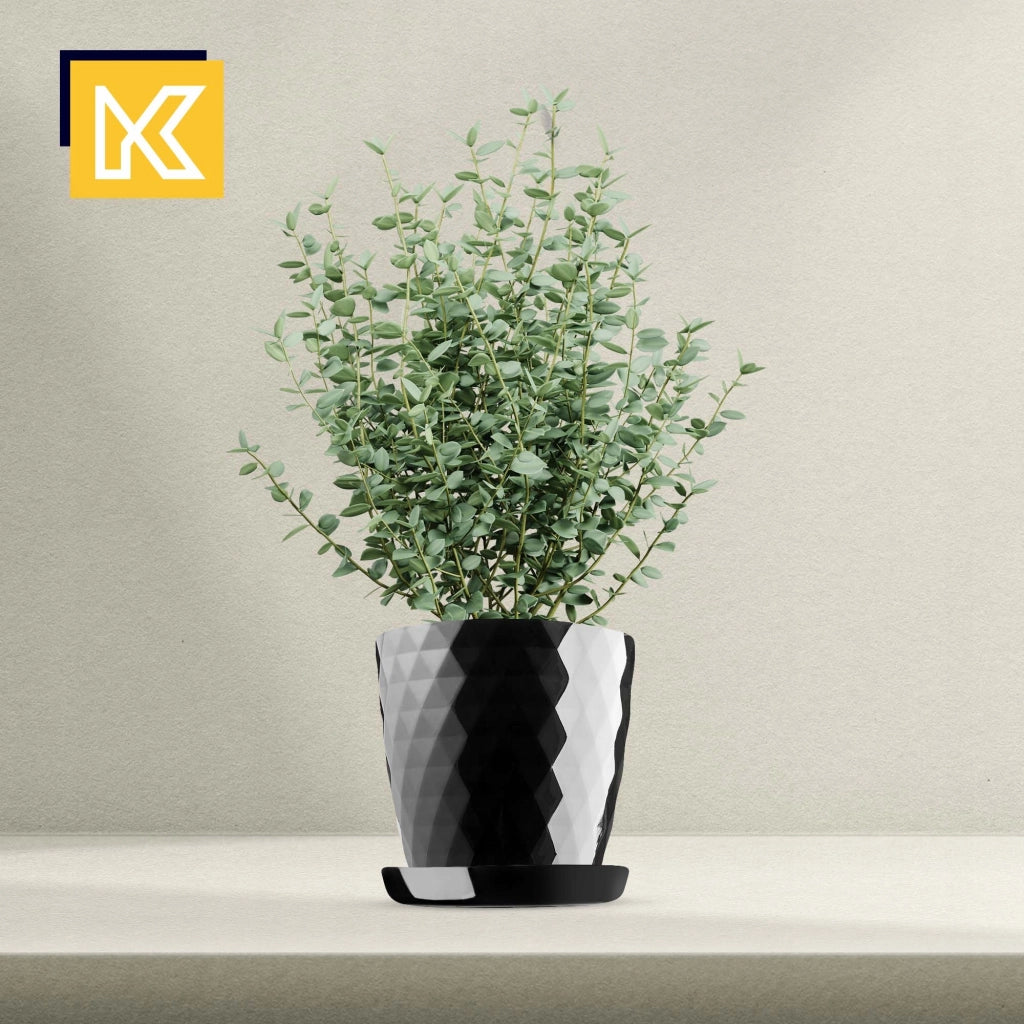 Vaso da fiori KADAX, fioriera, coperchio, 25+30 cm, supporto per fiori, plastica nera, 2 pezzi.