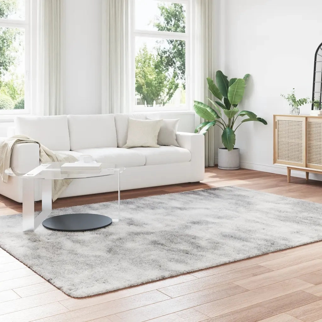 Tappeto Shaggy a Pelo Lungo NAVARRA Grigio Argento 200x290cm 4102852
