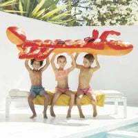 57528NP - Cavalcabile Aragosta 213X137