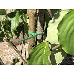 100 Fascette Plastica Verde Giardinaggio 2.5X100mm