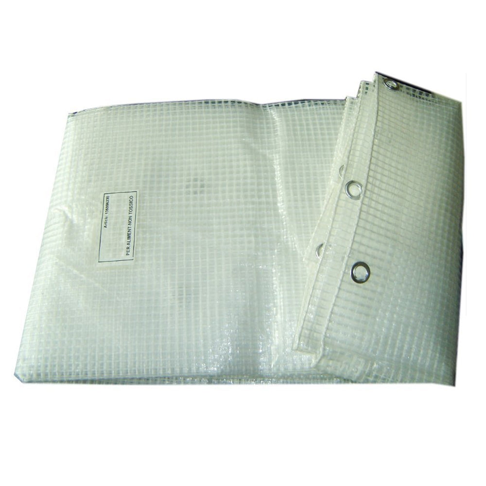 Telo leno trasparente con rete (3x4 mt)