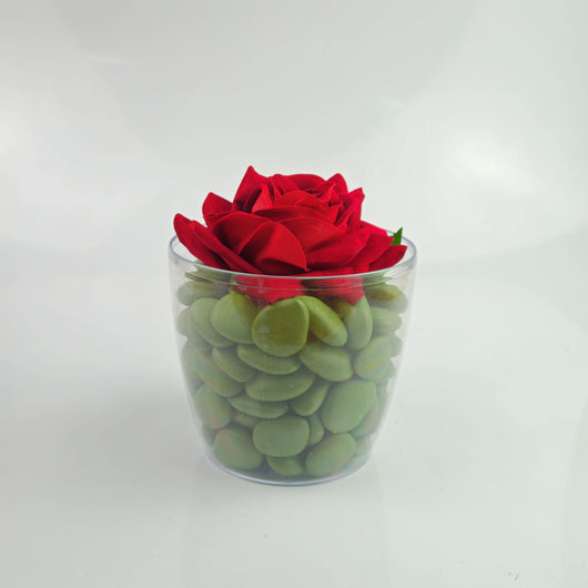 PEBBLES POT PACK CON ROSA IN VELLUTO