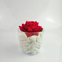 PEBBLES POT PACK CON ROSA IN VELLUTO