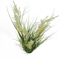 Pianta Pampa Cortadeira 110 cm