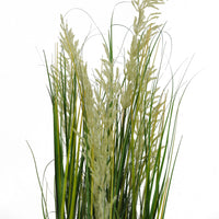 Pianta Pampa Cortadeira 110 cm