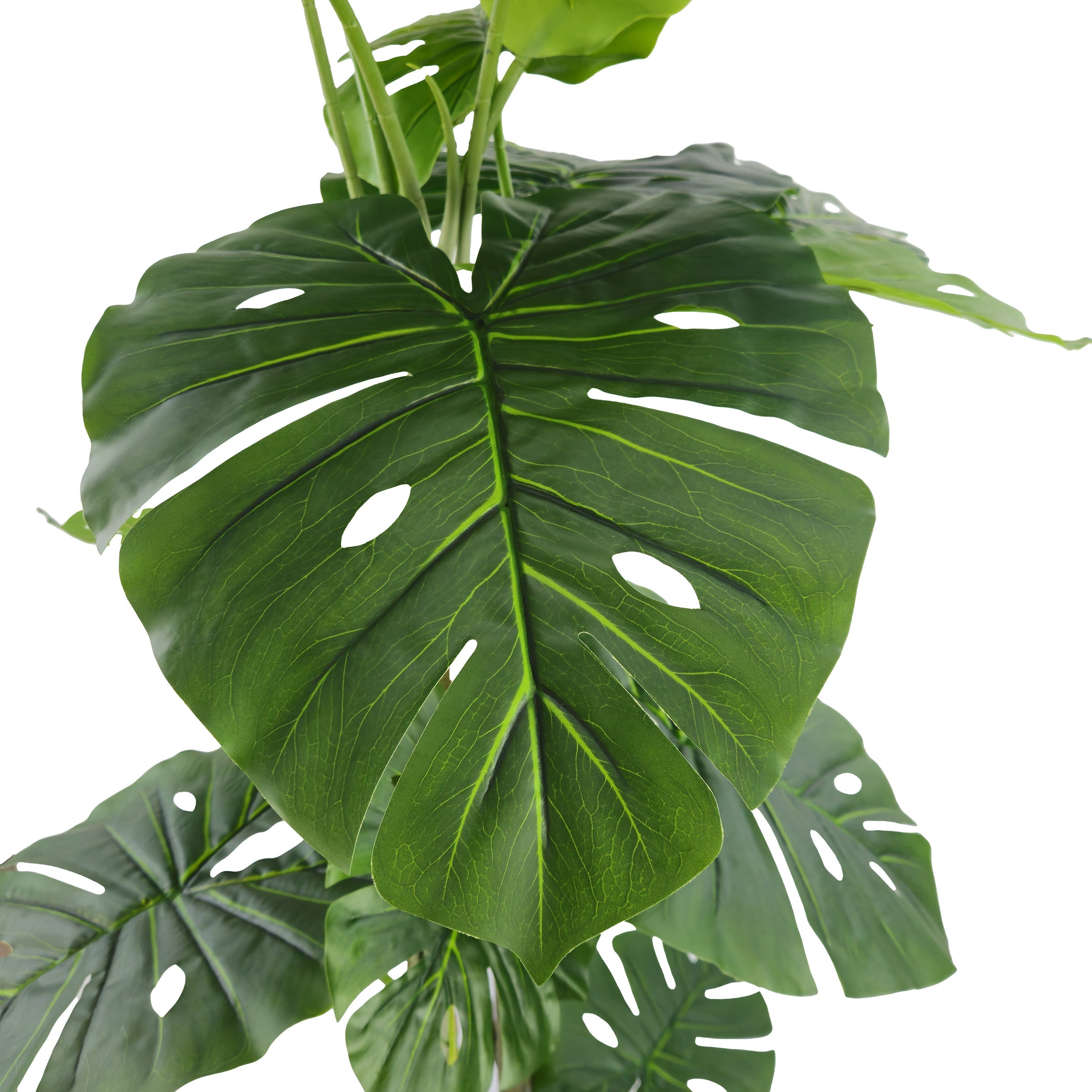 Pianta artificiale Filodendro cm 170