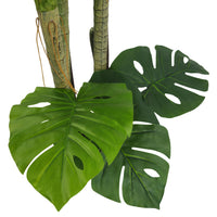 Pianta artificiale Filodendro cm 170