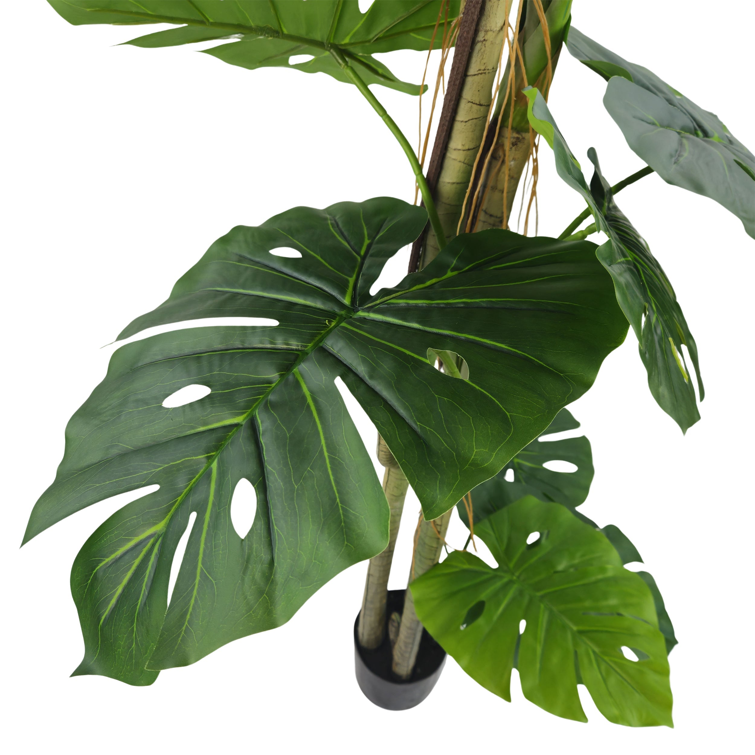 Pianta artificiale Filodendro cm 170