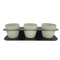 Porta piante aromatiche in metallo da bancone e muro vasi inclusi