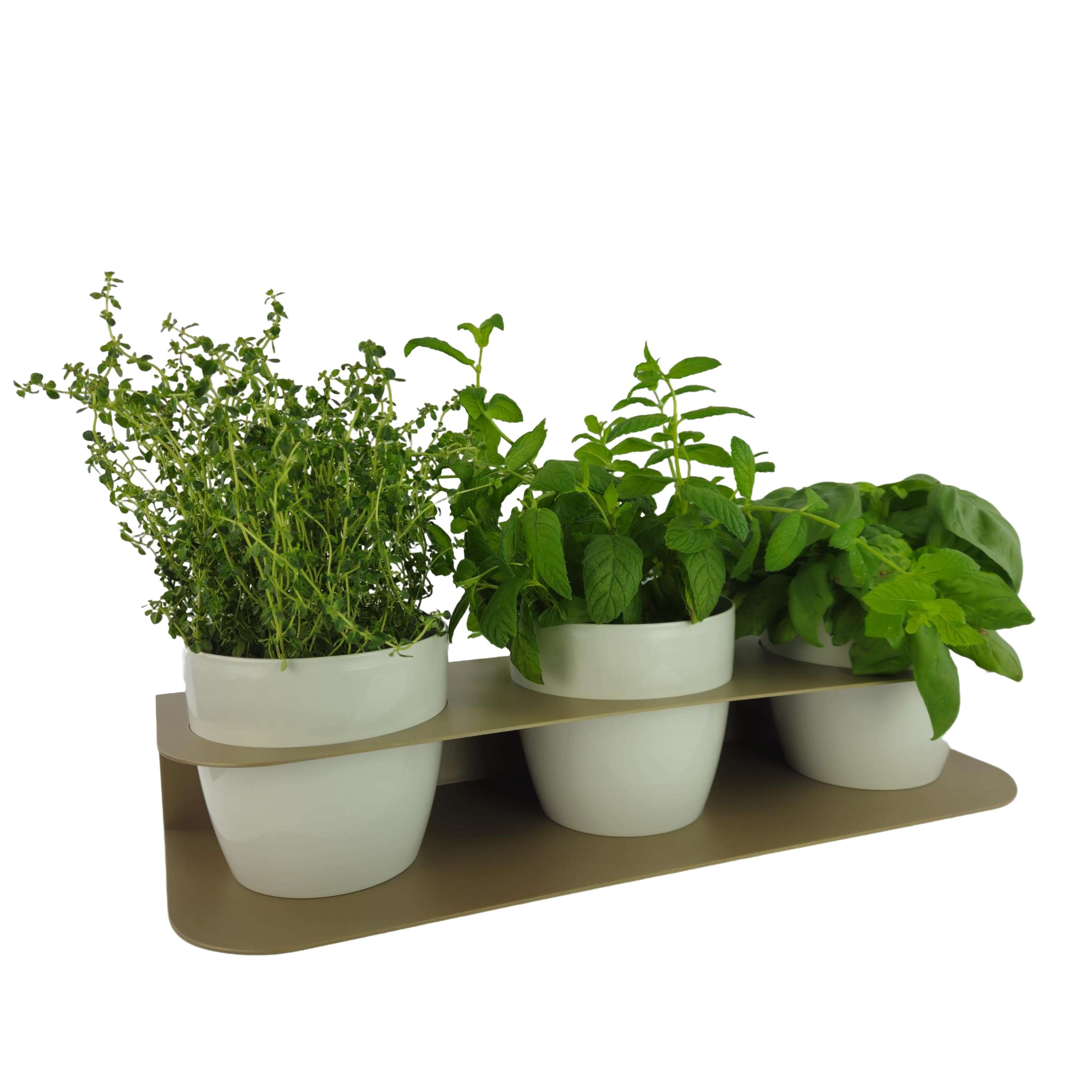 Porta piante aromatiche in metallo da bancone e muro vasi inclusi