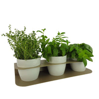 Porta piante aromatiche in metallo da bancone e muro vasi inclusi