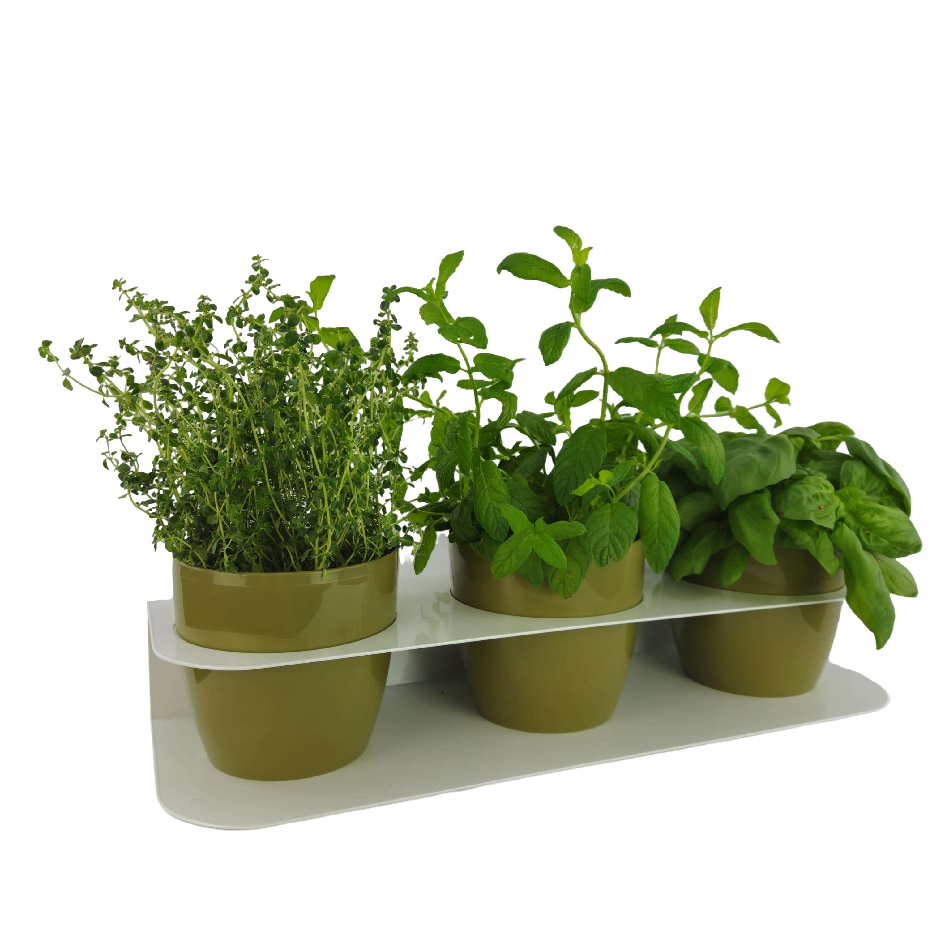 Porta piante aromatiche in metallo da bancone e muro vasi inclusi