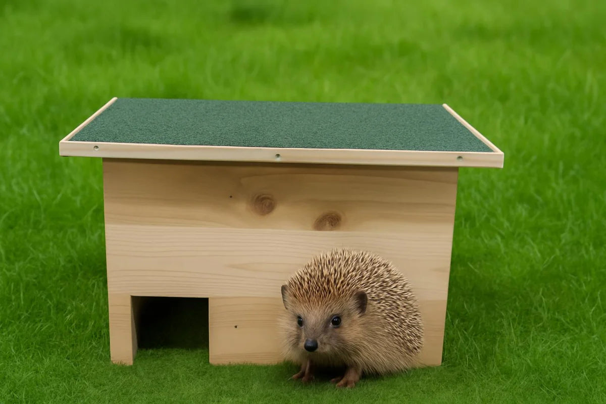 Casa del riccio in legno di pino con un ingresso