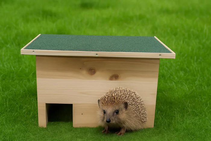 Casa del riccio in legno di pino con un ingresso