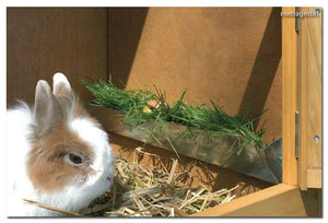 Conigliera piccola casa per animali 116 x 66 x 45 cm