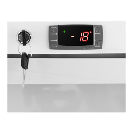 Congelatore verticale di grandi dimensioni con grande capacità refrigerante R290 (volume: 380 litri potenza: 425 watt porta a doppio vetro) 14_0005264