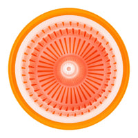 Centrifuga insalata 12 litri professionale alluminio e plastica 14_0004581