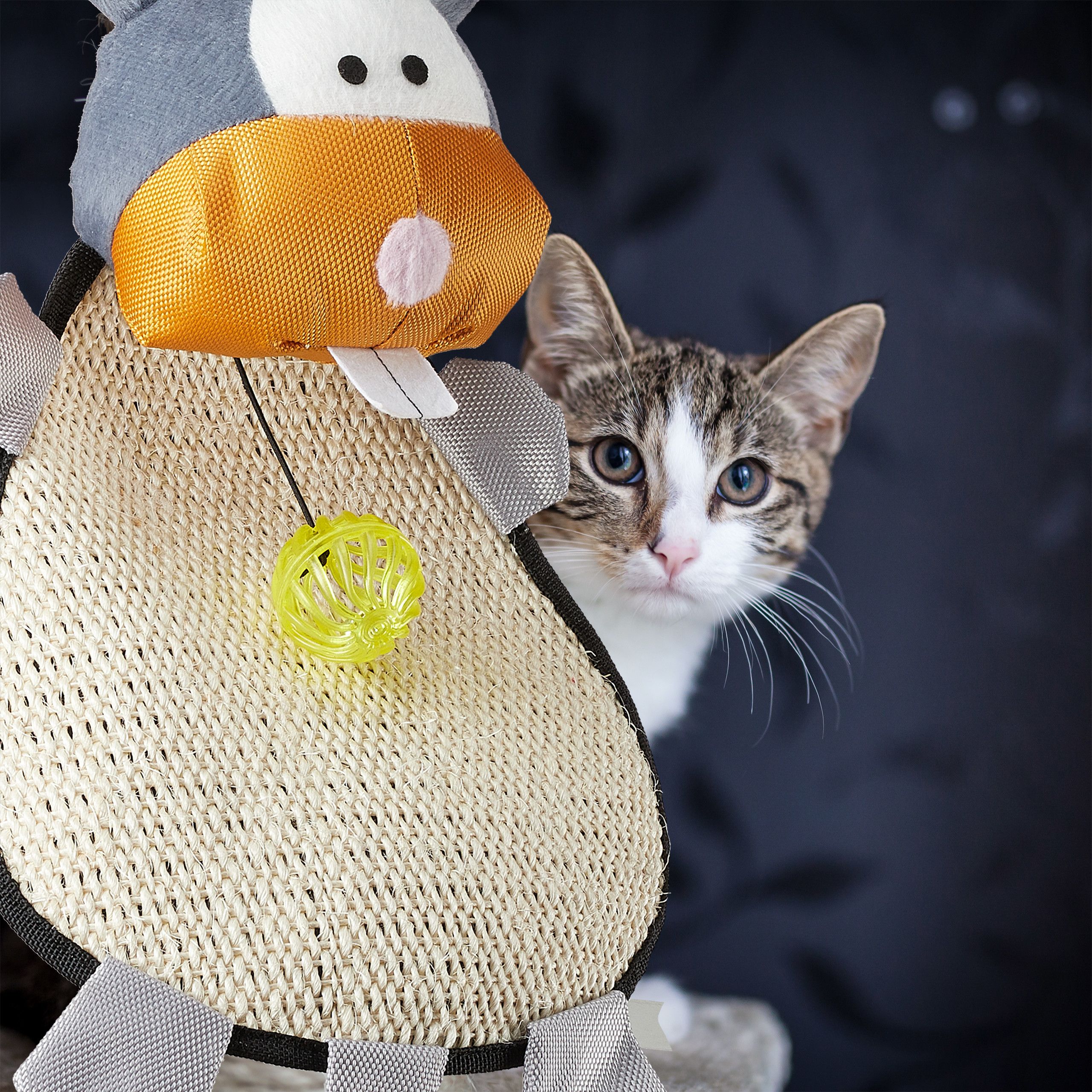 Gioco per gatti tiragraffi con tappetino in sisal 13_0002849