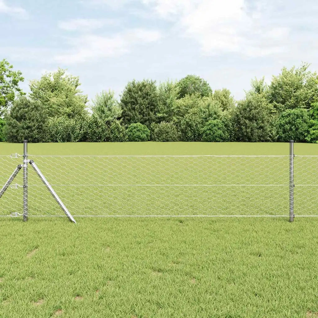 Recinzione Esagonale Argento 0,5 x 10 m Acciaio zincato 42005631