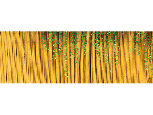 utilia arelle in canna di bambù ø mm 15 cm. 200x300  cod:ferx.vit51917