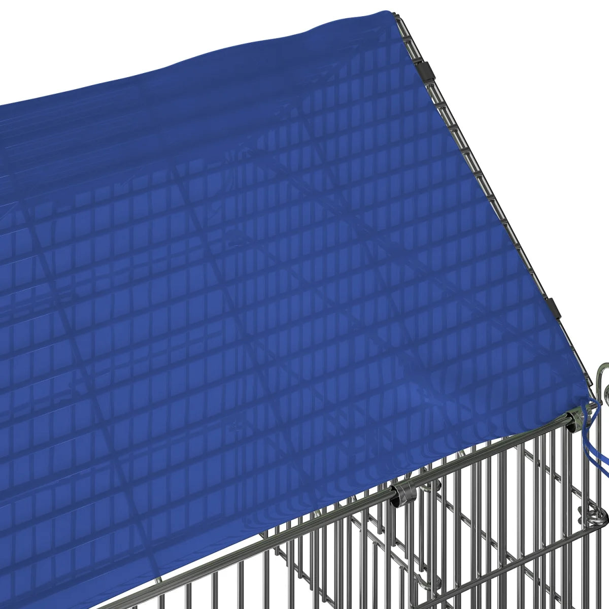 Recinto esterno blu, recinto, recinto esterno, conigli, lepri